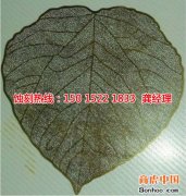 <b>伦教腐刻加工_镜面不锈钢蚀刻</b>