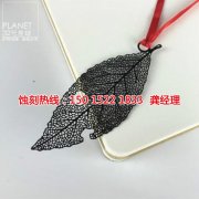 <b>海盐蚀刻加工_不锈钢蚀刻</b>