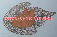 <b>盐城腐蚀加工_过滤网蚀刻</b>