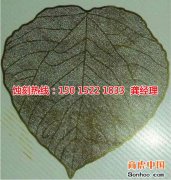 <b>江北蚀刻加工_腐蚀加工厂</b>
